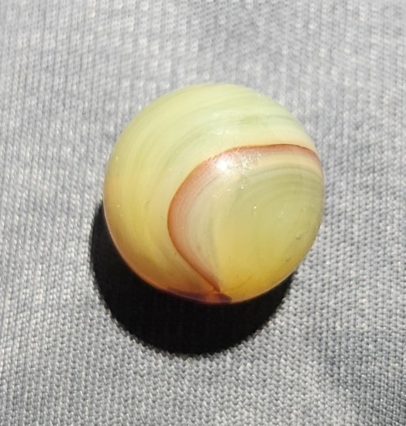 20250826_161253.jpg