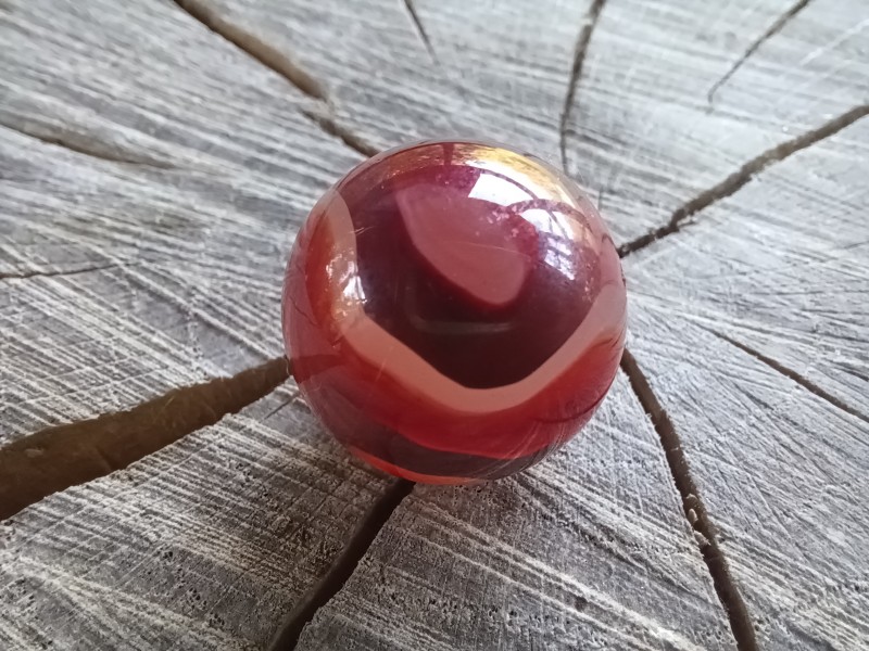 20250902_180830.jpg