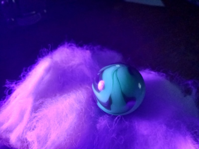 20250903_132842.jpg