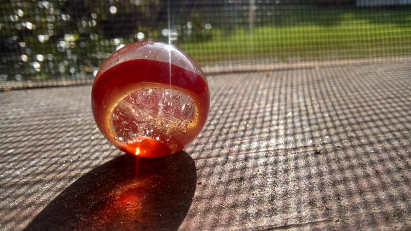 20250907_090812.jpg