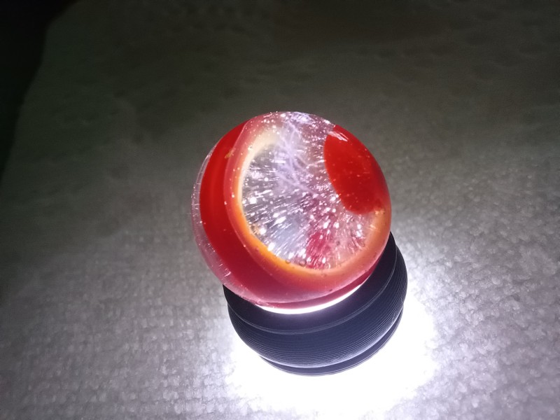 20250907_143555.jpg
