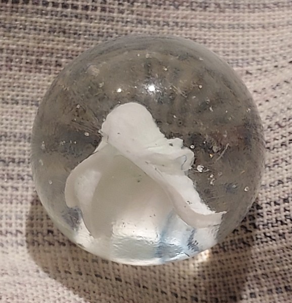 20250926_224254.jpg