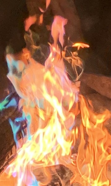 IMG_4333.jpeg