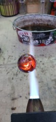 20250903_032632.jpg