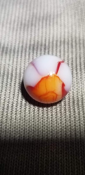 20220324_170446.jpg