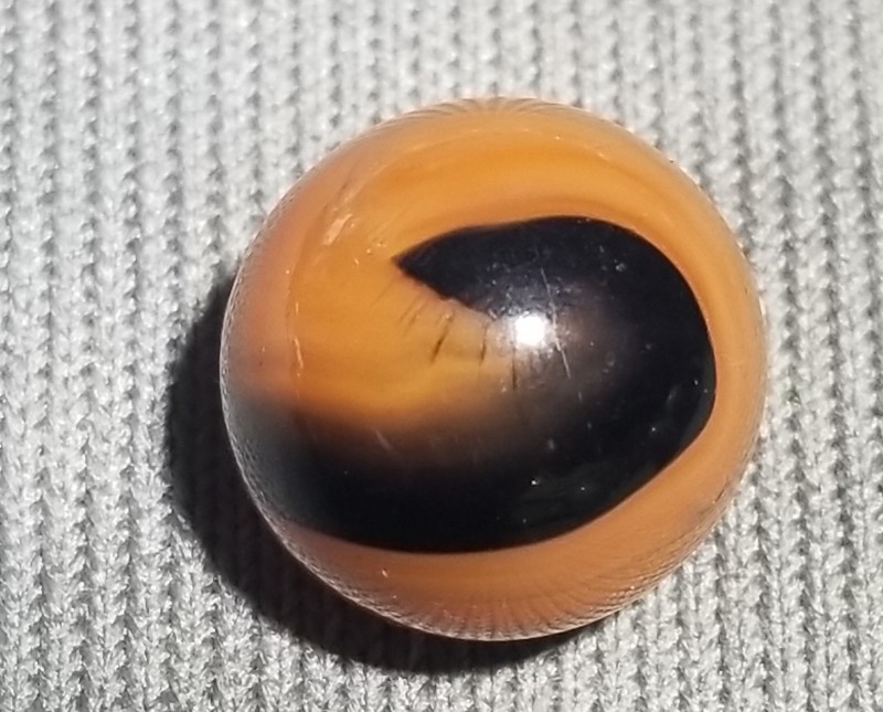 20220805_154545.jpg