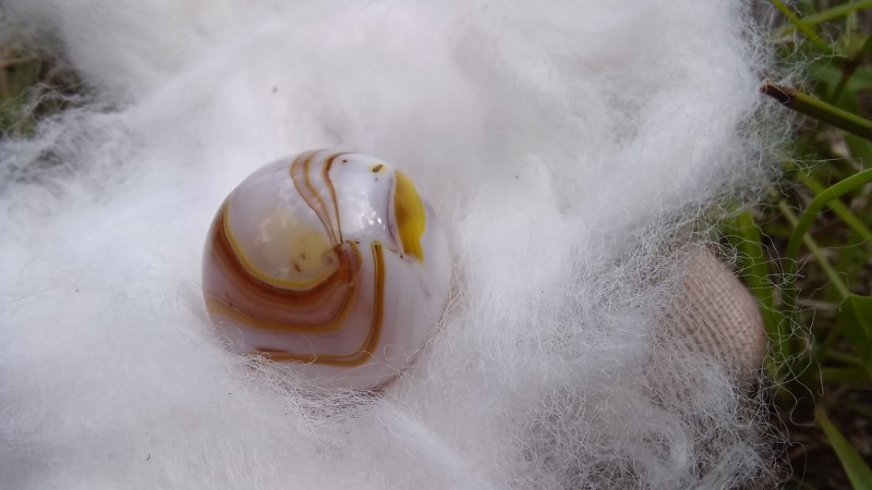 20251010_151712.jpg
