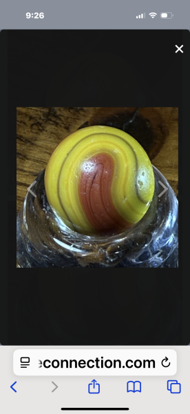 IMG_3783.png