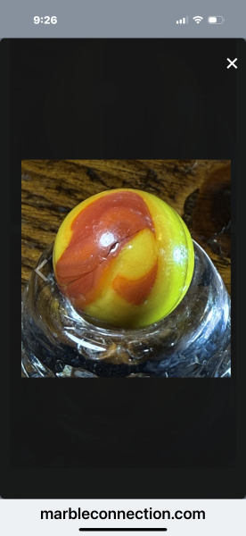 IMG_3785.png