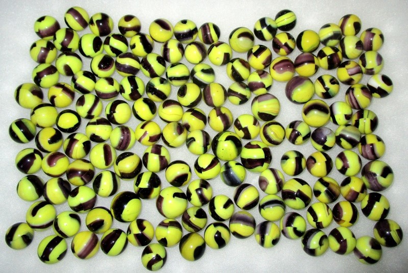MKBumblebees.thumb.JPG.bd96e7f296057f8fb75601b4d37c12bb.JPG