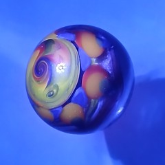 20250928_073111.jpg