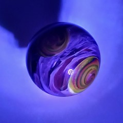 20250928_074102.jpg