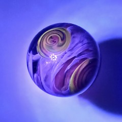 20250928_074118.jpg