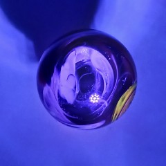 20250928_074229.jpg