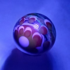 20250928_074917.jpg