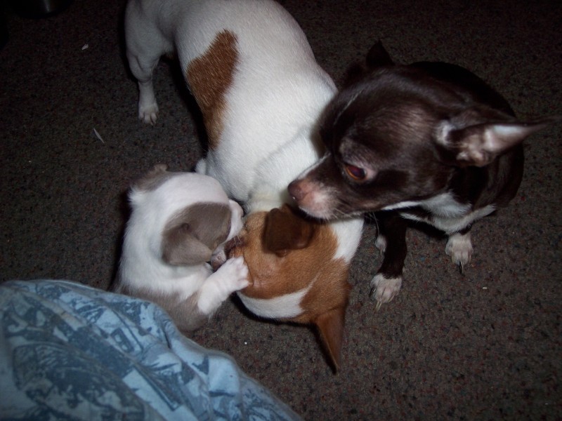 i said leave the boy alone.JPG