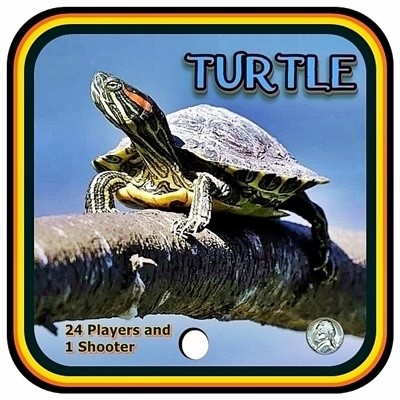 Turtle.jpg.ccfe08ba1260ae30dd92a8c9d33c9ad8.jpg